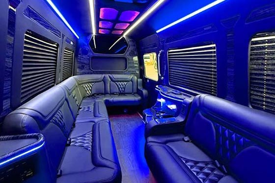 elegant limo rentals